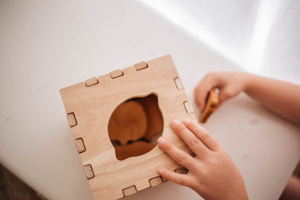 FRUIT BOX PUZZLE | SORTING BOX